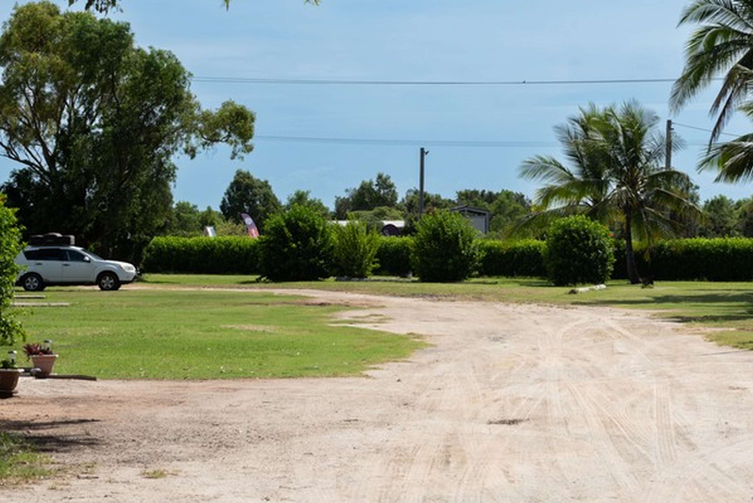 Grass and grass powered sites